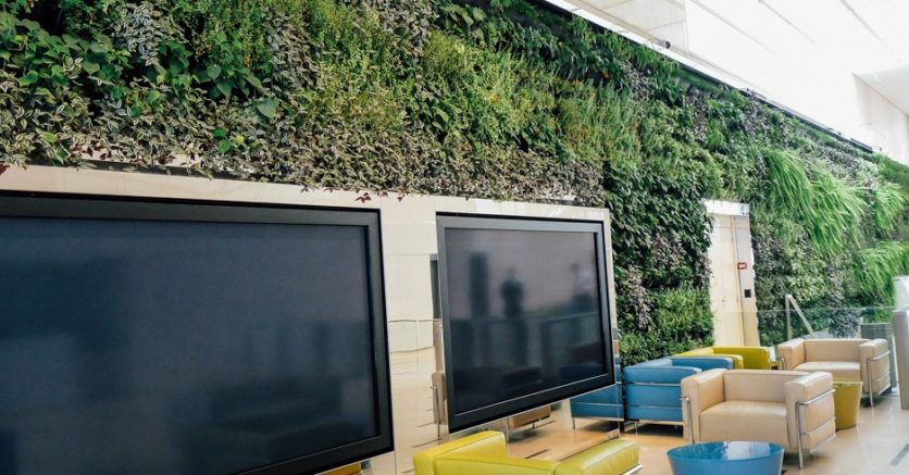 Modulogreen