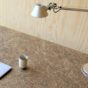 HuisVeendam - Bio Laminates