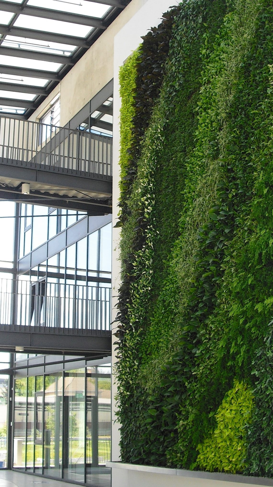 Sempergreenwall