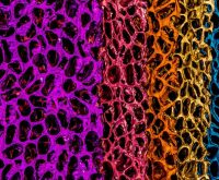 Circulaire gevelbekleding van LJ Solutions