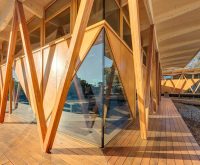 Accoya