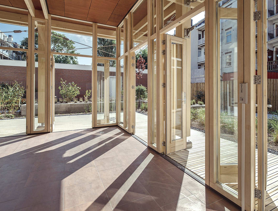 Accoya
