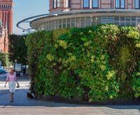 Sempergreenwall