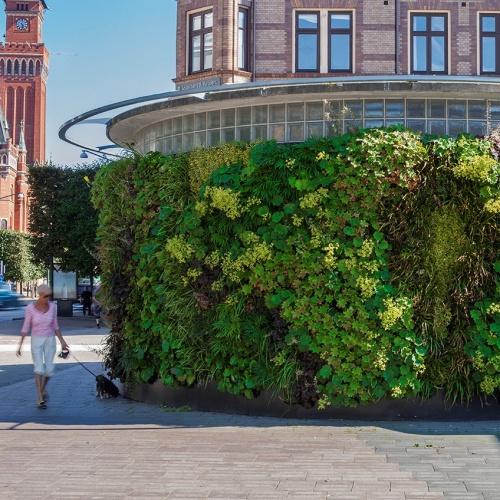 Sempergreenwall