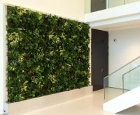 Sempergreenwall